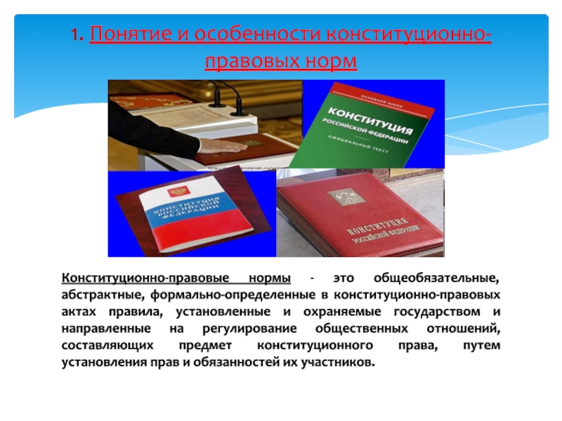 Конституционно правовые нормы и отношения презентация