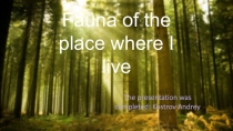 Fauna of the place where I live