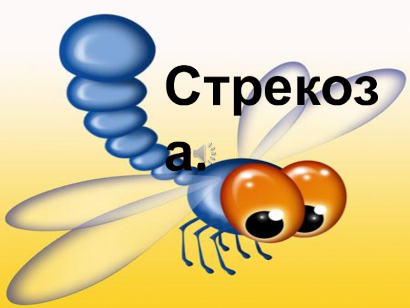 Презентация Стрекоза