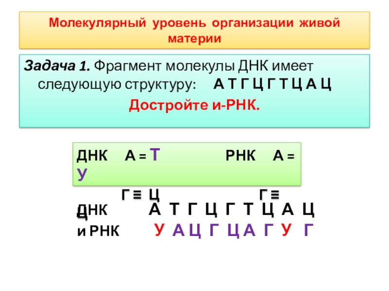 Фрагмент молекулы днк имеет вид. Фрагмент одной цепи ДНК имеет следующий состав а-г-а-т-т-ц-а-г-ц. Участок молекулы ДНК имеет строение а ц ц а т а г т ц. Фрагмент 1 цепи ДНК имеет следующее строение атгаццагтцацатц. Участок молекулы ДНК имеет следующее строение тггтатцаггттццт.