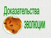 Доказательства
эволюции