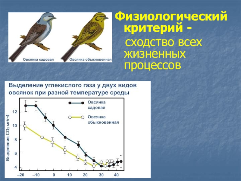 Критерии вида схема