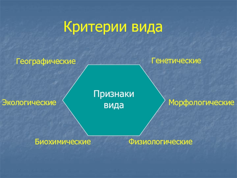 Понятие вида в биологии презентация