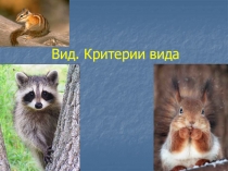 Вид. Критерии вида