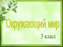Окружающий мир
3 класс