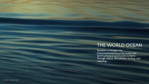 THE WORLD OCEAN