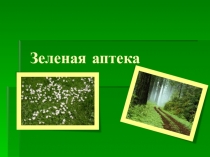 Зеленая аптека