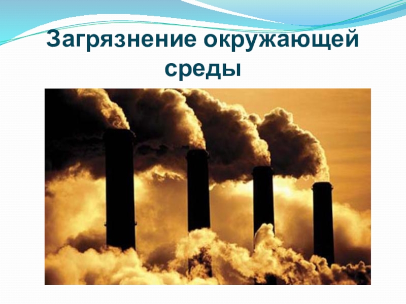 Презентация Загрязнение окружающей среды