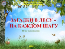 ЗАГАДКИ В ЛЕСУ – НА КАЖДОМ ШАГУ