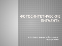 Фотосинтетические Пигменты