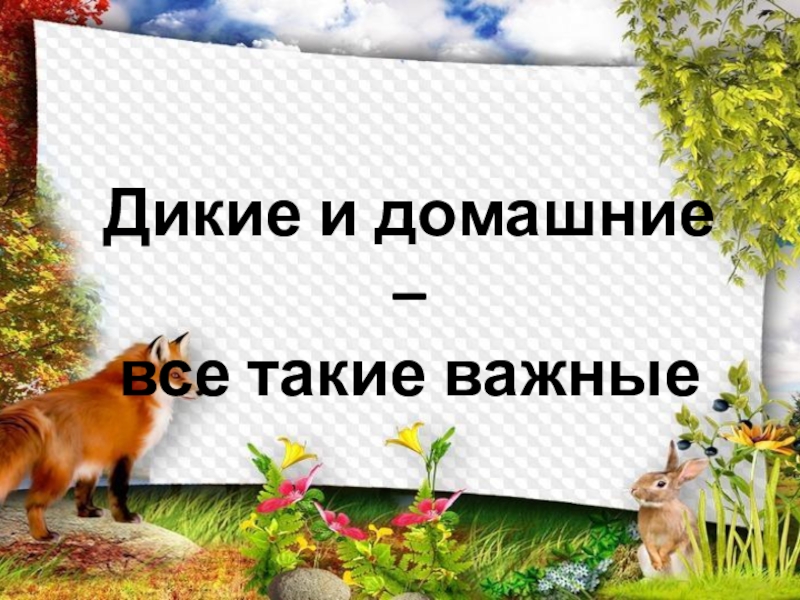 Дикие и домашние –
все такие важные