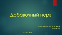 Добавочный нерв