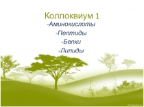 Коллоквиум 1