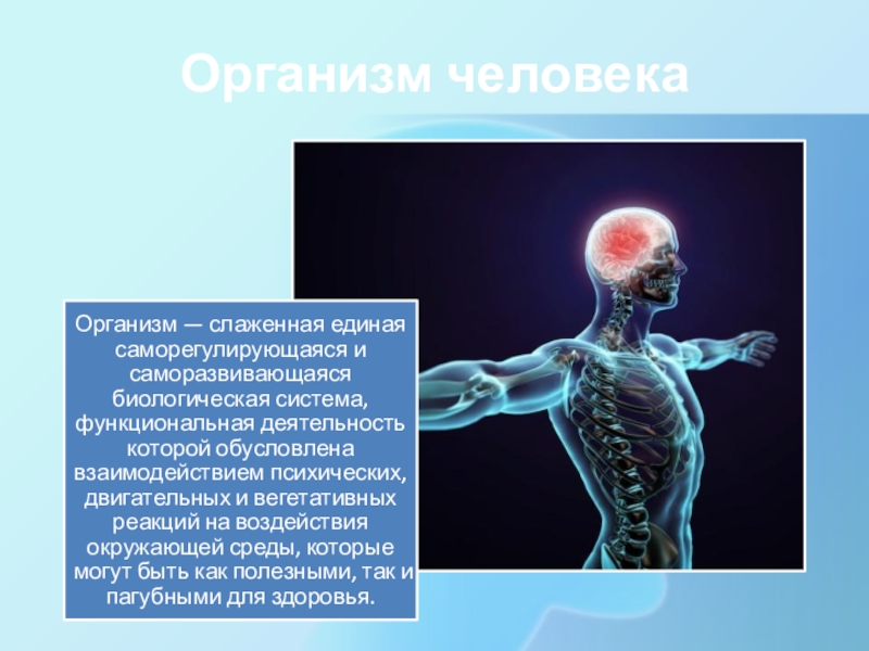 Организма 4 в. Организм человека как Единая биологическая система.