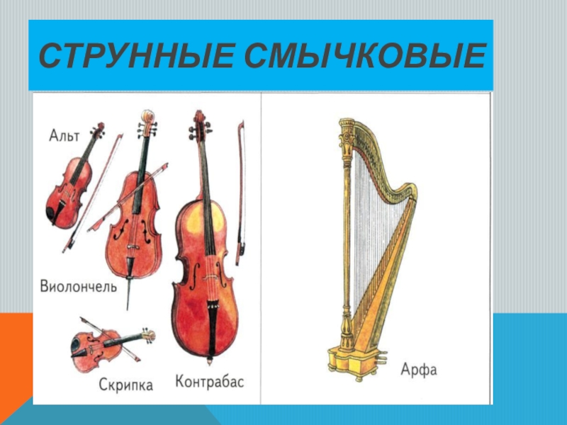 К струнным музыкальным инструментам относятся. Струнно смычковые инструменты названия. Струнно-смычковые инструменты симфонического оркестра. Струнно смычковые инструменты симфонического оркестра контрабас. Струнно смычковая группа.