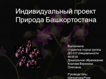 Индивидуальный проект
Природа Башкортостана.
Выполнила:
студентка I курса
