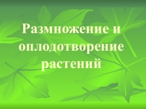 Размножение и оплодотворение растений