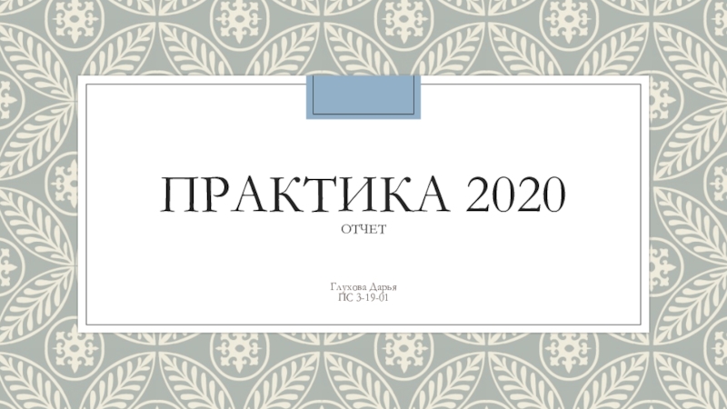 Практика 2020 отчет