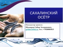 САХАЛИНСКИЙ ОСЁТР