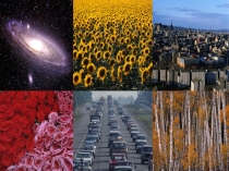 Множества