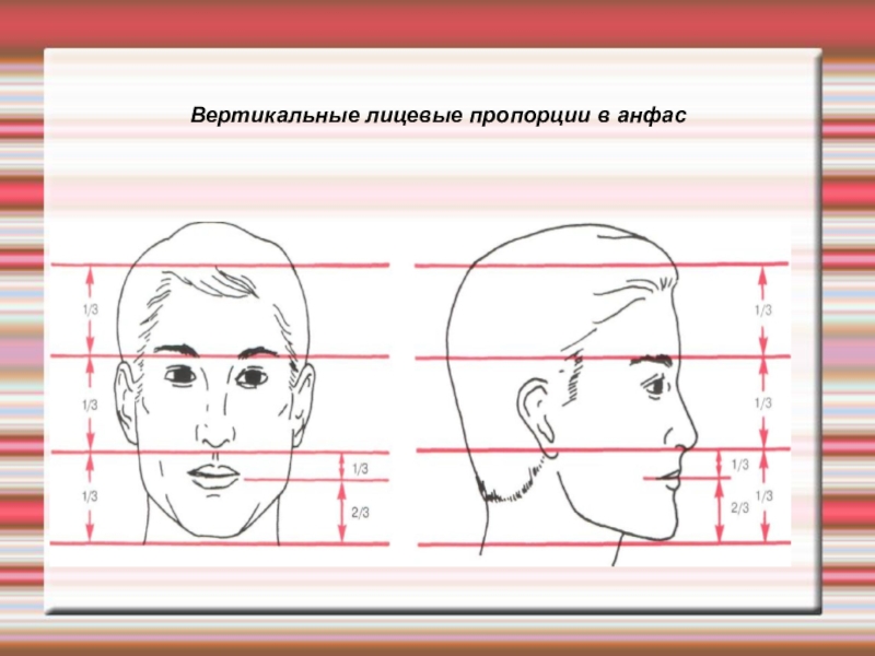 Опознавательная карта криминалистика пример