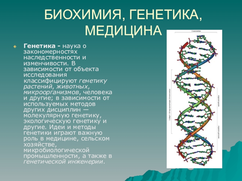 Генетика в числах. Биохимия, генетика, медицина. Генетика биохимия. Генетика и медицина презентация. Биохимическая генетика человека.
