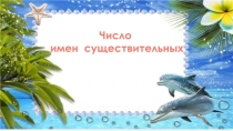 Число имен существительных