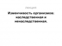 лекция