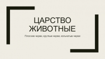 Царство животные