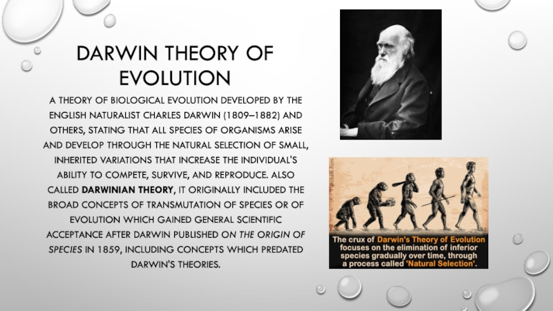 Реферат: Darwinism On Society Essay Research Paper Darwin