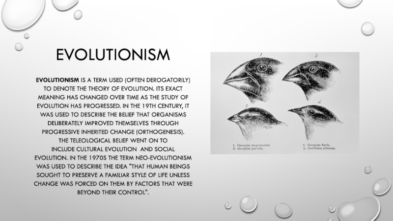 Реферат: Creation Or Evolution Essay Research Paper EVOLUTION