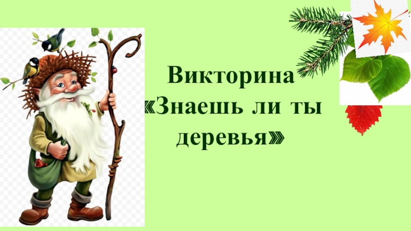 Викторина
Знаешь ли ты
деревья