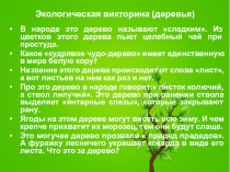 Экологическая викторина (деревья)