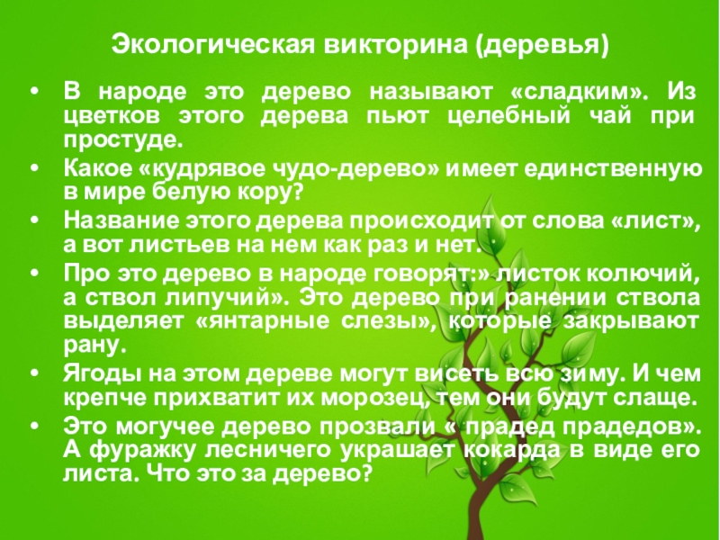 Викторина по экологии для начальной школы презентация