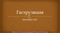 Гаструляция