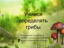 Учимся определять грибы