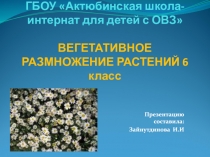ГБОУ Актюбинская школа-интернат для детей с ОВЗ ВЕГЕТАТИВНОЕ РАЗМНОЖЕНИЕ