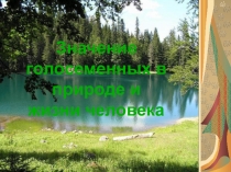 Биология. 7 класс.
Значение голосеменных в природе и жизни человека