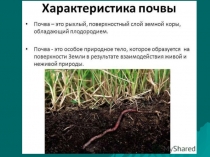 Понятие почва. Плодородие почвы