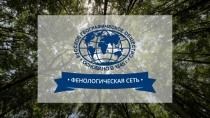 Феносеть 3.0