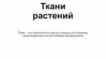 Ткани растений