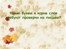 Какие буквы в корне слов требуют проверки на письме?