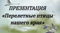 ПРЕЗЕНТАЦИЯ
Перелетные птицы нашего края
