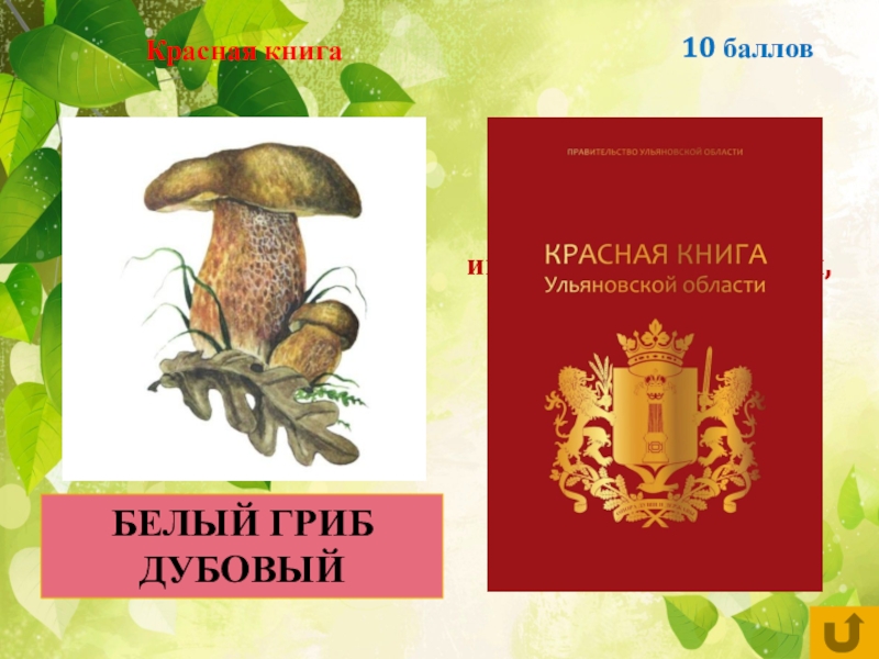 Книга ульяновской. Животные Ульяновской области презентация викторина. Бычья викторина презентация. Викторина к Дню национального парка для детей. Рисунок гриба красная книга из нашего края.