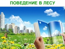Поведение в лесу