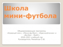 Школа мини-футбола