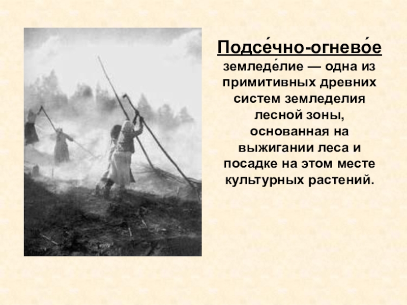 Подсечно огневое земледелие. Подсечное земледелие в древней Руси. Подсечно-огневая система земледелия это. Выжигание лесов для земледелия.