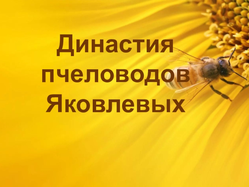 Династия пчеловодов Яковлевых