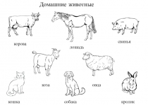 Домашние животные
кошка
лошадь
кролик
овца
коза
корова
свинья
собака
