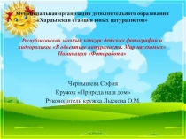 Муниципальная организация дополнительного образования  Харцызская станция юных